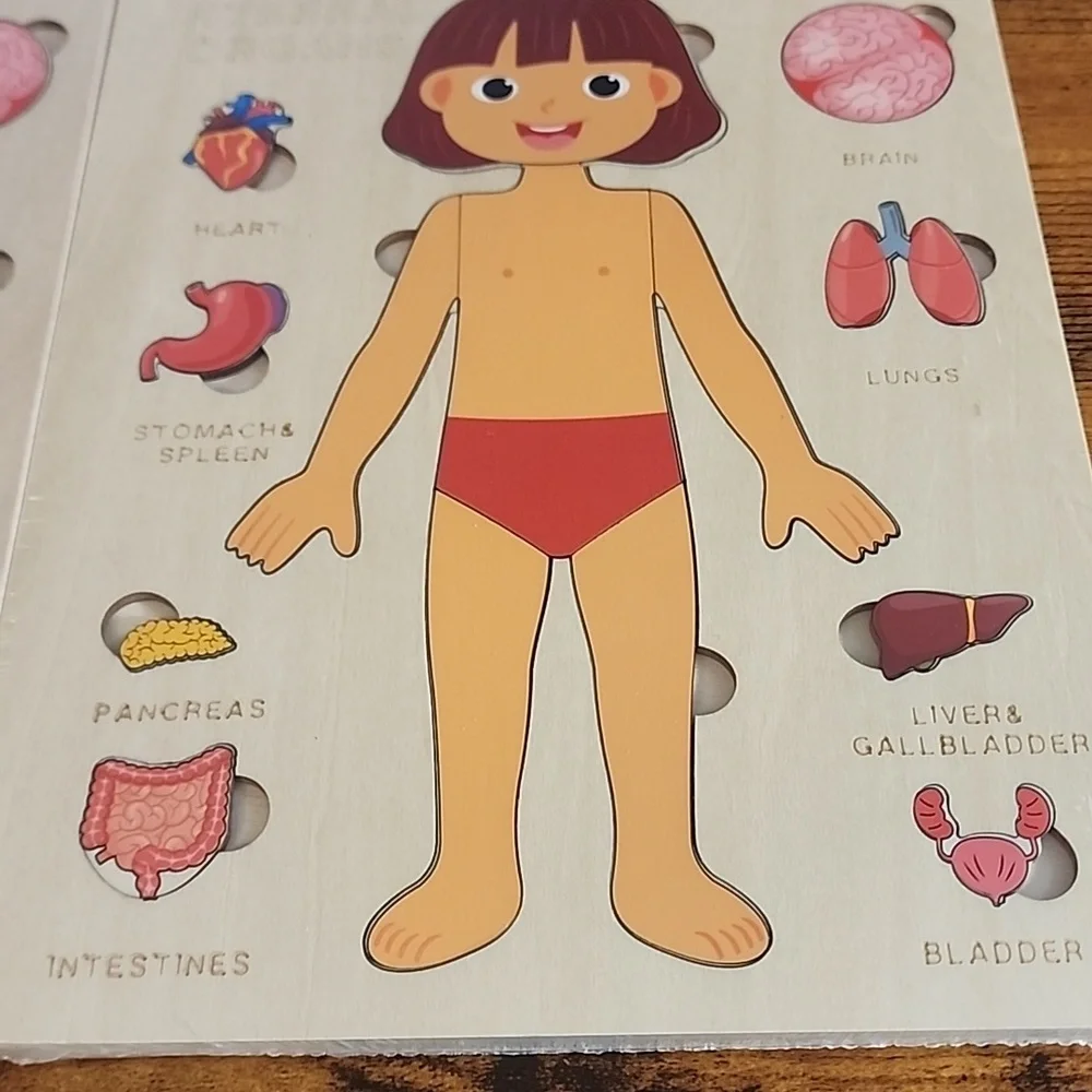 Children's Anatomy Learning Puzzle - Blue and Red Prices Are For Each Set I Have